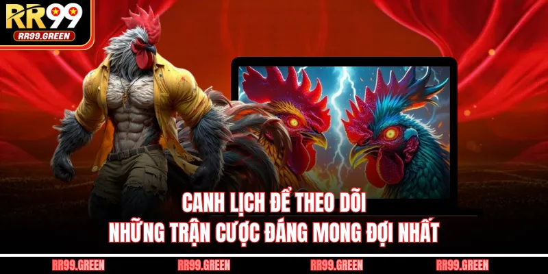 Canh lịch để theo dõi những trận cược đáng mong đợi nhất